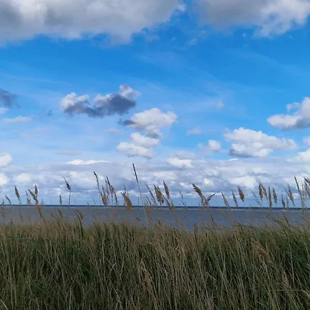 8 Person In Grenaa-by Traum Prázdninový dům Brondstrup